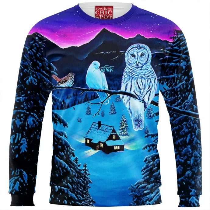 Winter Owl Sweatshirt