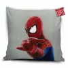 The Amazing Spider-Man Pillow Cover