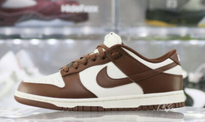 Nike Dunk Low Cocao Wow Brown Sail 2023 Unfading Sneaker 4 DD1503 124 2