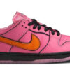 The Powerpuff Girls x  Nike SB Dunk Low Blossom Classic Kicks Sneaker