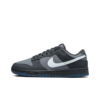 Dunk Low Anthracite - Fv0384-001 Basketball Sneakers