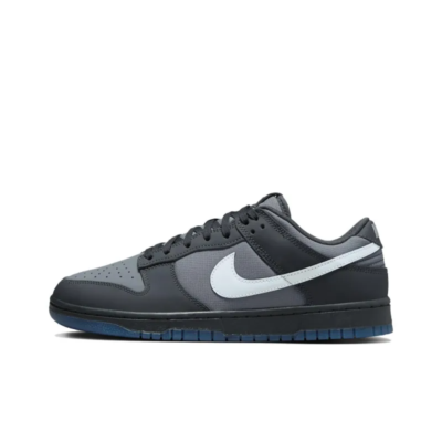 Dunk Low Anthracite - Fv0384-001 Basketball Sneakers